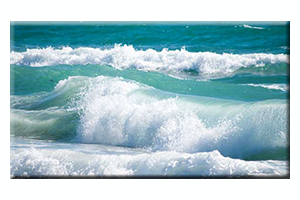 De Oceaan<br><br>
